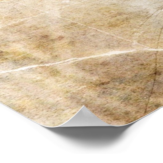 Poster Blue Jay (Coin)