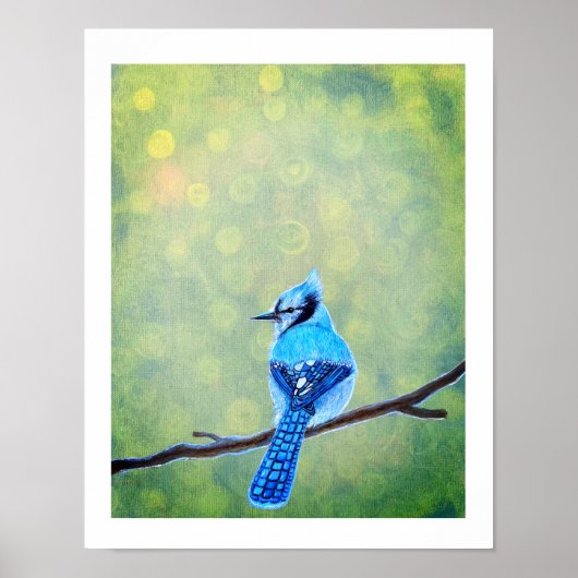 Poster Blue Jay Bird (Devant)