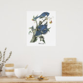 Poster Blue Jay, John Audubon (Cuisine)