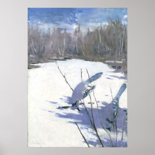 Poster Blue Jays in Winter par Abbott Handerson Thayer (Devant)