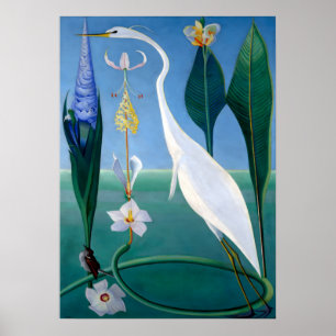 Poster Blue Jays in Winter par Abbott Handerson Thayer