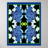 Poster Blue Lacecap Hydrangea Fleur Fermer Abstrait (Devant)