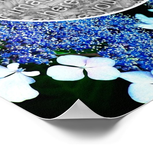 Poster Blue Lacecap Hydrangea Flower Frame Ajouter Votre (Coin)