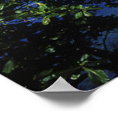 Poster Blue Lagoon, Port Antonio, Jamaïque (Coin)