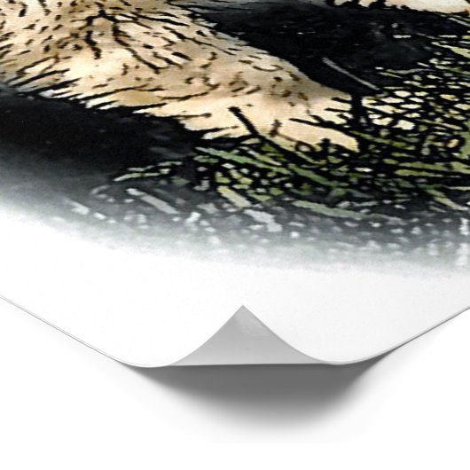 Poster Blue Merle Collie Cadeaux (Coin)