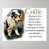 Poster Blue Merle Collie Cadeaux (Devant)