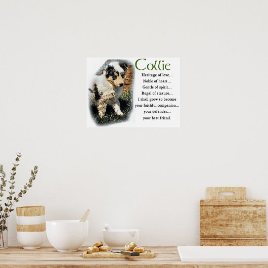 Poster Blue Merle Collie Cadeaux (Cuisine)