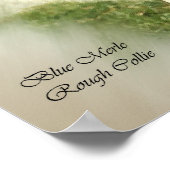 Poster Blue Merle Rough Collie Art Cadeaux (Coin)