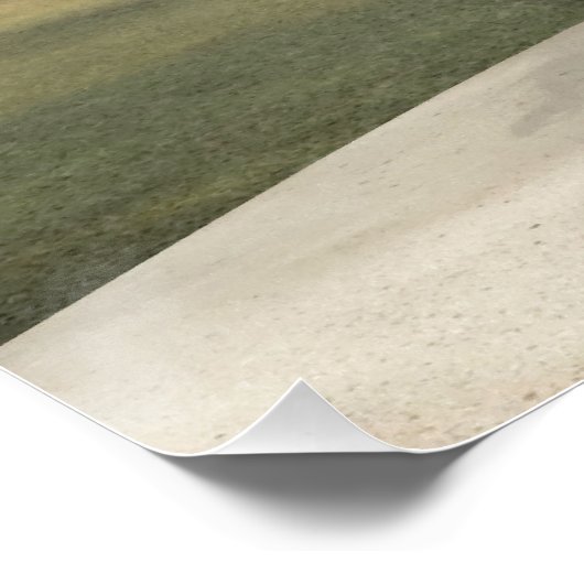 Poster Blue Mermaid (Coin)