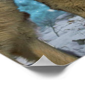 POSTER BLUE MOON WOLVES HOWLING CANVAS PRINT (Coin)