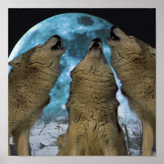 POSTER BLUE MOON WOLVES HOWLING CANVAS PRINT (Devant)