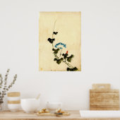 Poster Blue Morning Glory Vine 1840 (Cuisine)