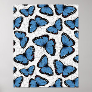 Poster Blue morpho butterflies