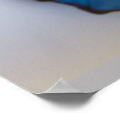 Poster Blue Morpho Butterfly both sides (Coin)