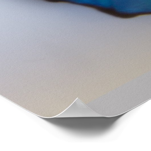 Poster Blue Morpho Butterfly both sides (Coin)