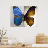 Poster Blue Morpho Butterfly both sides (Cuisine)