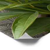 Poster Blue Morpho Butterfly Floral Botanical Art  Poste (Coin)