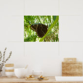 Poster Blue Morpho Butterfly Tropical Nature Photography (Cuisine)