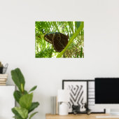Poster Blue Morpho Butterfly Tropical Nature Photography (Bureau à domicile)
