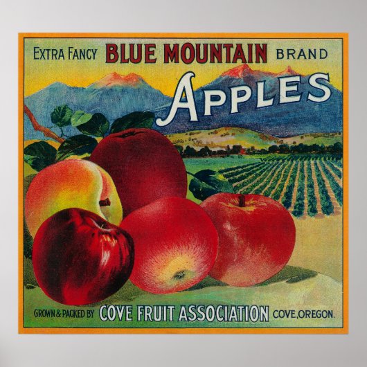 Poster Blue Mountain Apple Crate LabelCove, OU (Devant)