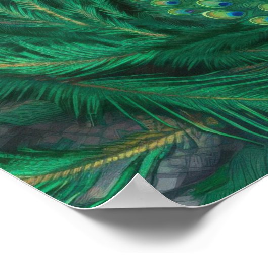 Poster Blue Peacock Bird (Coin)