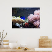 Poster Blue Regal Tang (Cuisine)