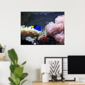 Poster Blue Regal Tang (Bureau à domicile)