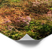 Poster Blue Ridge Mountains Imprimer (Coin)