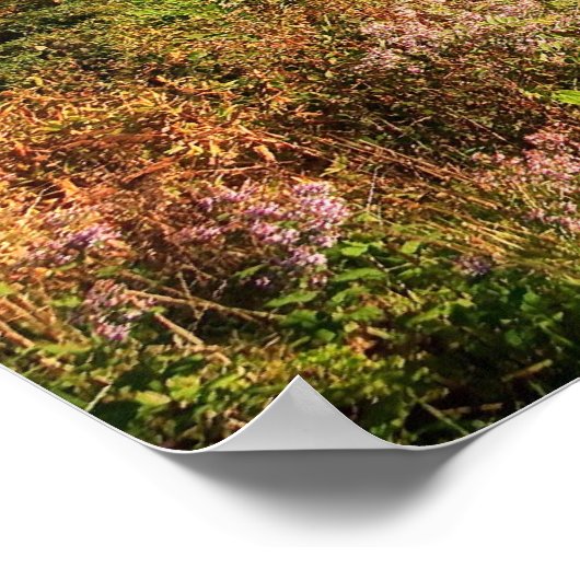 Poster Blue Ridge Mountains Imprimer (Coin)