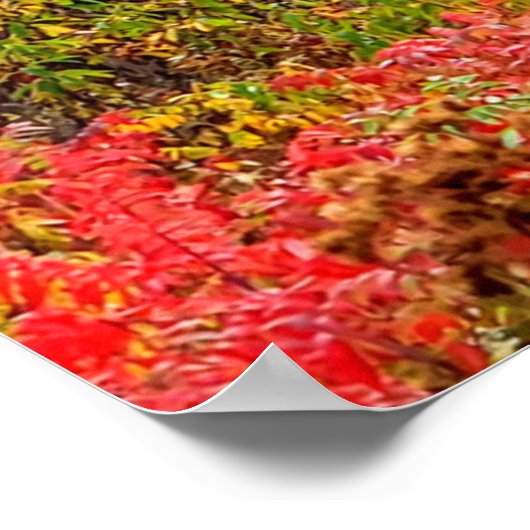 Poster Blue Ridge Parkway Fall Vue sur Pilot Mountain (Coin)