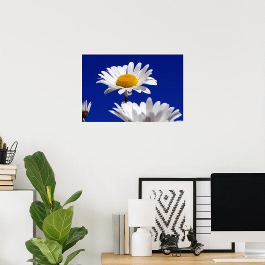 Poster Blue Sky Daisies (Bureau à domicile)