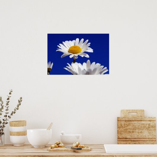 Poster Blue Sky Daisies (Cuisine)
