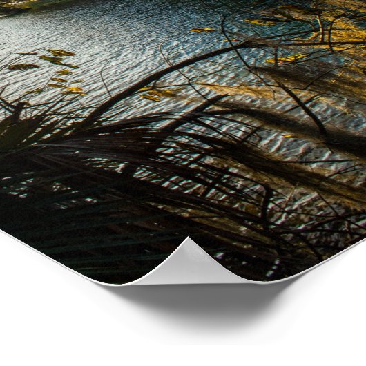 Poster Blue Springs State Park, Floride (Coin)