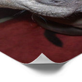 Poster Blue Staffordshire Bull Terrier Puppy (Coin)