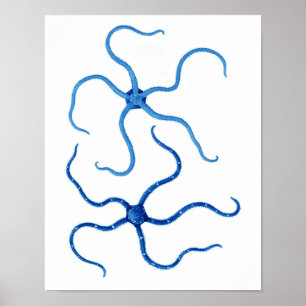 Poster Blue Starfish no. 6 beach wall decor