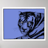 POSTER BLUE TIGER (Devant)