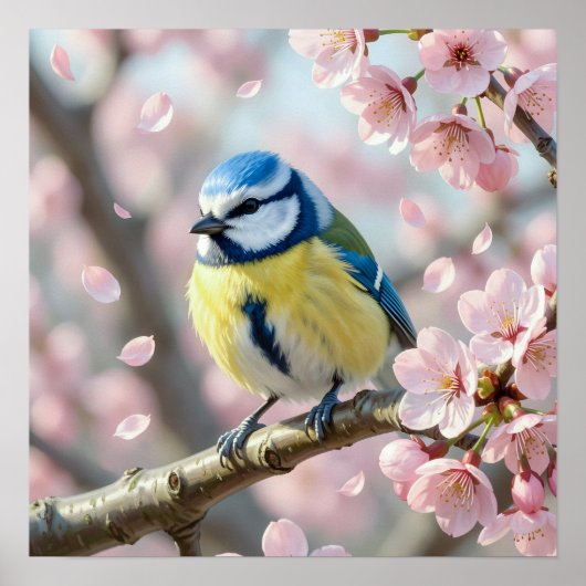 Poster  Blue Tit Bird on Cherry Blossom Tree Spring (Devant)
