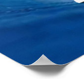 Poster Blue Wave Election 2026 (Coin)