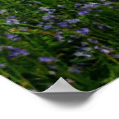 Poster Bluebell Woods (Coin)