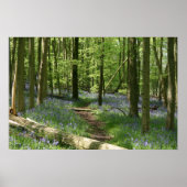 Poster Bluebell Woods (Devant)