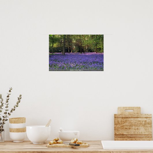 Poster Bluebell Woods, Angleterre (Cuisine)