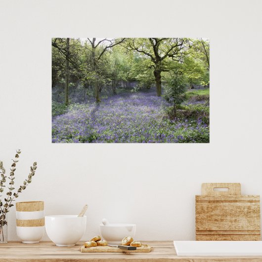 Poster Bluebell Woods II (Cuisine)