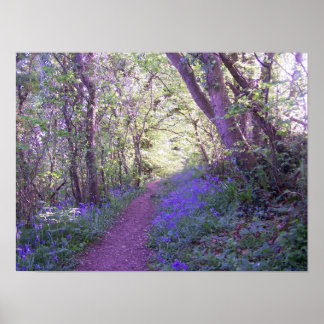 Poster Bluebell Woods Print