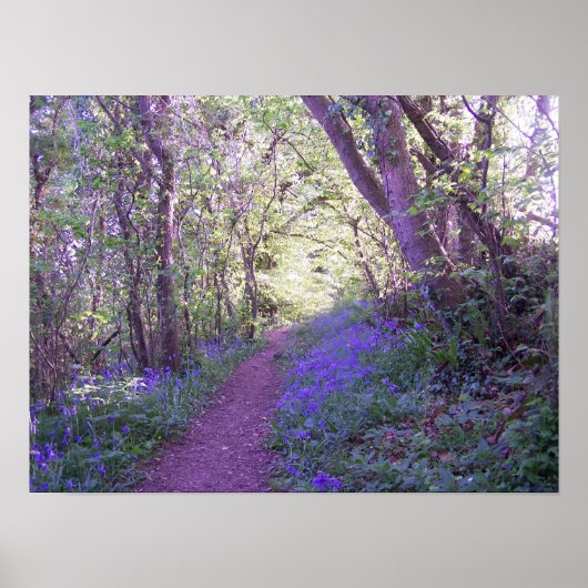 Poster Bluebell Woods Print (Devant)