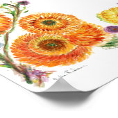 Poster Bluebells (Coin)