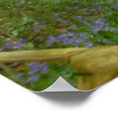 Poster Bluebells à Woods (Coin)