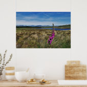 Poster Bluebells en Écosse (Cuisine)