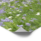 Poster Bluebells et chênes au printemps, Little Hagley (Coin)