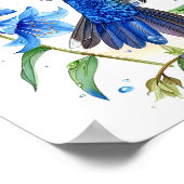 Poster Bluebells Hummingbird Aquarelle Imprimer (Coin)