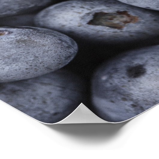 Poster Blueberges (Coin)